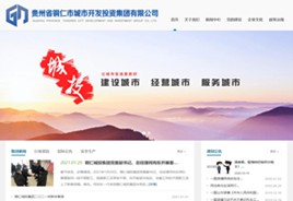 公安城市开发投资集团有限公司